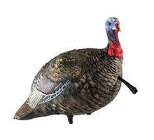 Load image into Gallery viewer, Avian-X LCD Quarter-Strut Jake Decoy
