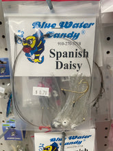 Load image into Gallery viewer, Blue Water Candy Spanish Daisy
