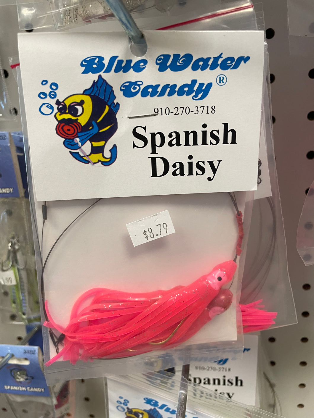 Blue Water Candy Spanish Daisy